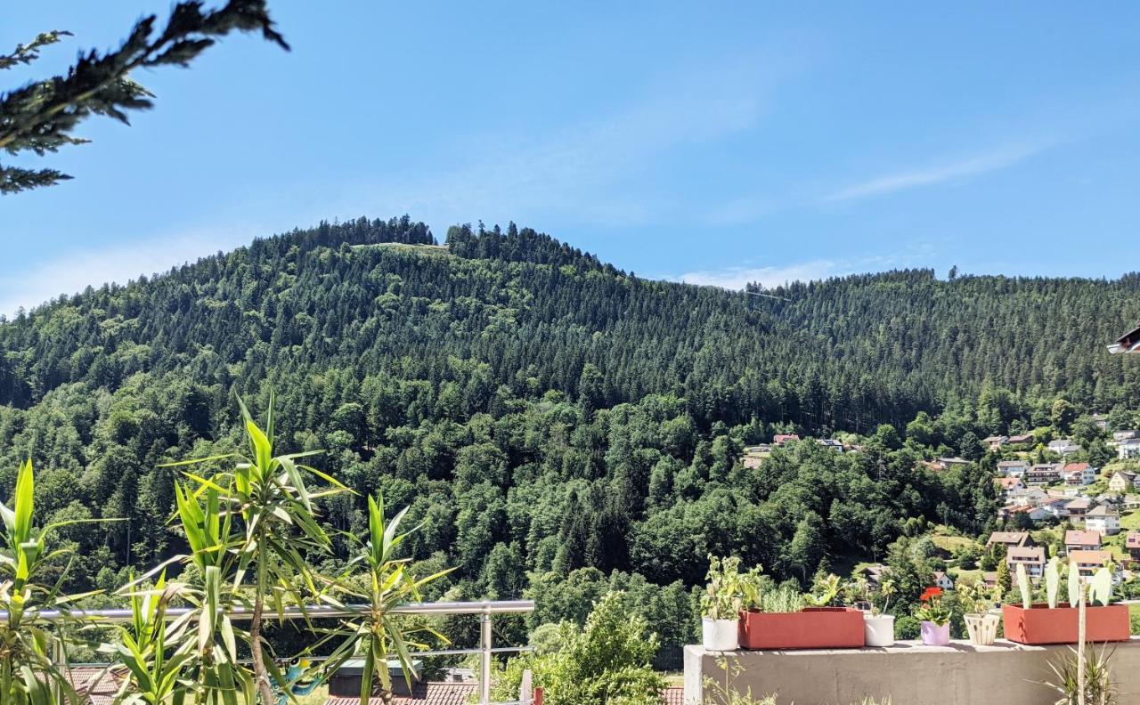 Wildbadferien De Appartement Bad Wildbad Buitenkant foto